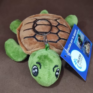 Tortuga Mejora Tu Playa - Donativos | Outdoors Victoria